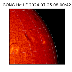 gong - 2024-07-25T08:00:42