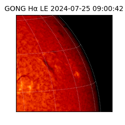 gong - 2024-07-25T09:00:42