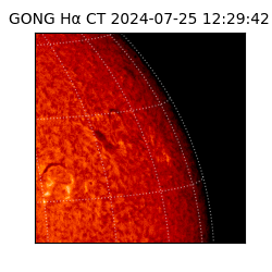 gong - 2024-07-25T12:29:42