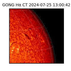 gong - 2024-07-25T13:00:42