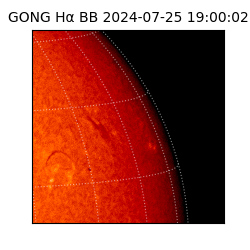 gong - 2024-07-25T19:00:02