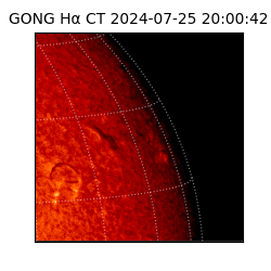 gong - 2024-07-25T20:00:42