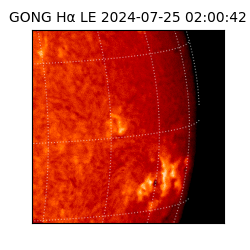 gong - 2024-07-25T02:00:42