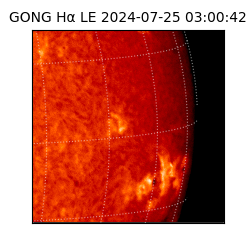 gong - 2024-07-25T03:00:42