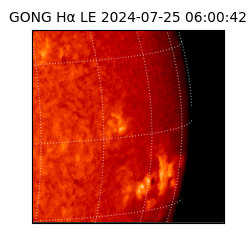 gong - 2024-07-25T06:00:42