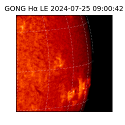 gong - 2024-07-25T09:00:42