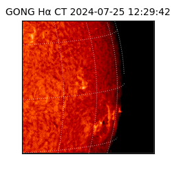 gong - 2024-07-25T12:29:42