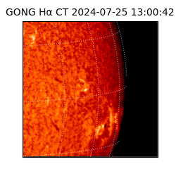 gong - 2024-07-25T13:00:42