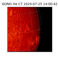 gong - 2024-07-25T14:00:42