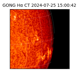 gong - 2024-07-25T15:00:42