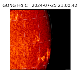 gong - 2024-07-25T21:00:42