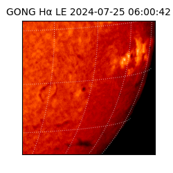 gong - 2024-07-25T06:00:42