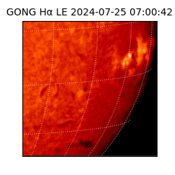 gong - 2024-07-25T07:00:42