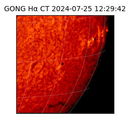 gong - 2024-07-25T12:29:42