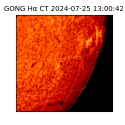 gong - 2024-07-25T13:00:42