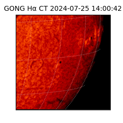 gong - 2024-07-25T14:00:42