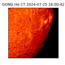 gong - 2024-07-25T16:00:42