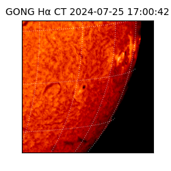 gong - 2024-07-25T17:00:42