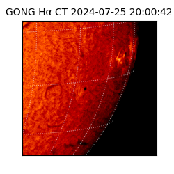 gong - 2024-07-25T20:00:42