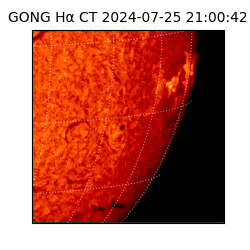 gong - 2024-07-25T21:00:42