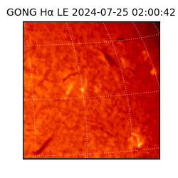 gong - 2024-07-25T02:00:42