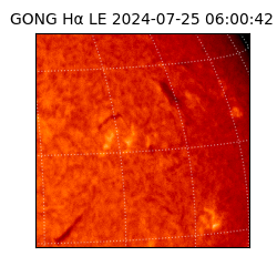 gong - 2024-07-25T06:00:42