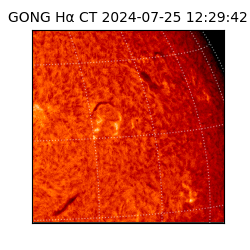 gong - 2024-07-25T12:29:42