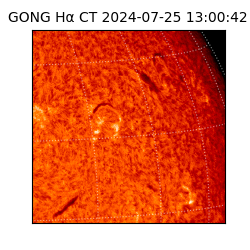 gong - 2024-07-25T13:00:42