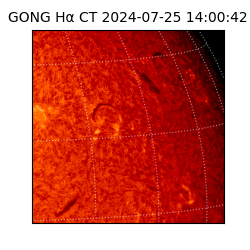 gong - 2024-07-25T14:00:42