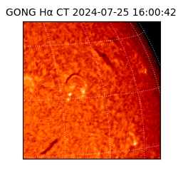 gong - 2024-07-25T16:00:42