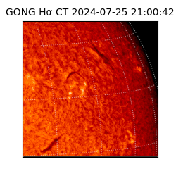 gong - 2024-07-25T21:00:42