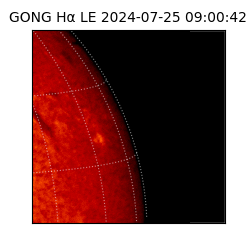 gong - 2024-07-25T09:00:42