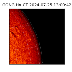 gong - 2024-07-25T13:00:42