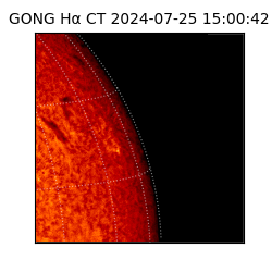 gong - 2024-07-25T15:00:42