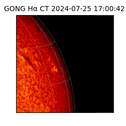 gong - 2024-07-25T17:00:42