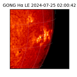 gong - 2024-07-25T02:00:42