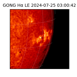 gong - 2024-07-25T03:00:42