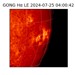 gong - 2024-07-25T04:00:42