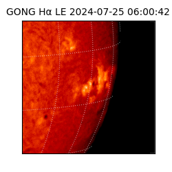 gong - 2024-07-25T06:00:42