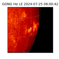 gong - 2024-07-25T08:00:42