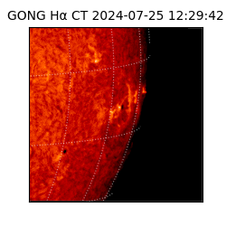 gong - 2024-07-25T12:29:42