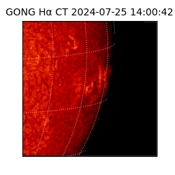 gong - 2024-07-25T14:00:42