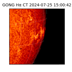 gong - 2024-07-25T15:00:42