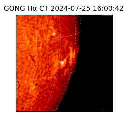 gong - 2024-07-25T16:00:42