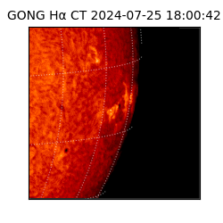 gong - 2024-07-25T18:00:42