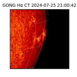 gong - 2024-07-25T21:00:42