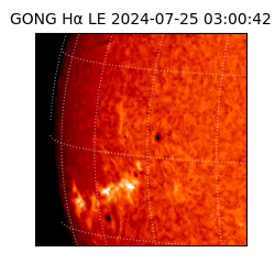 gong - 2024-07-25T03:00:42