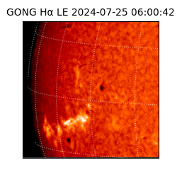 gong - 2024-07-25T06:00:42