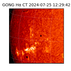 gong - 2024-07-25T12:29:42