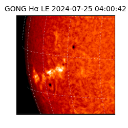 gong - 2024-07-25T04:00:42